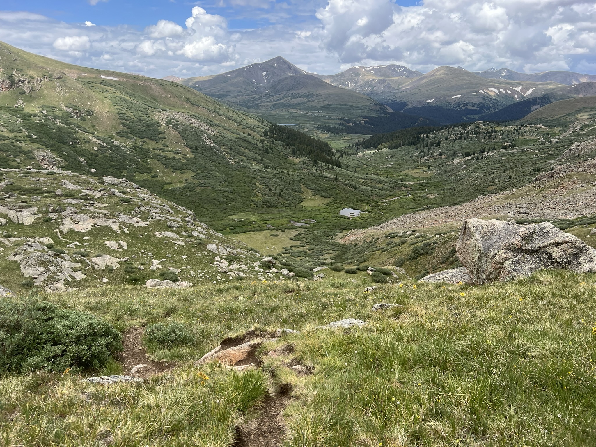 Bottom of the gully