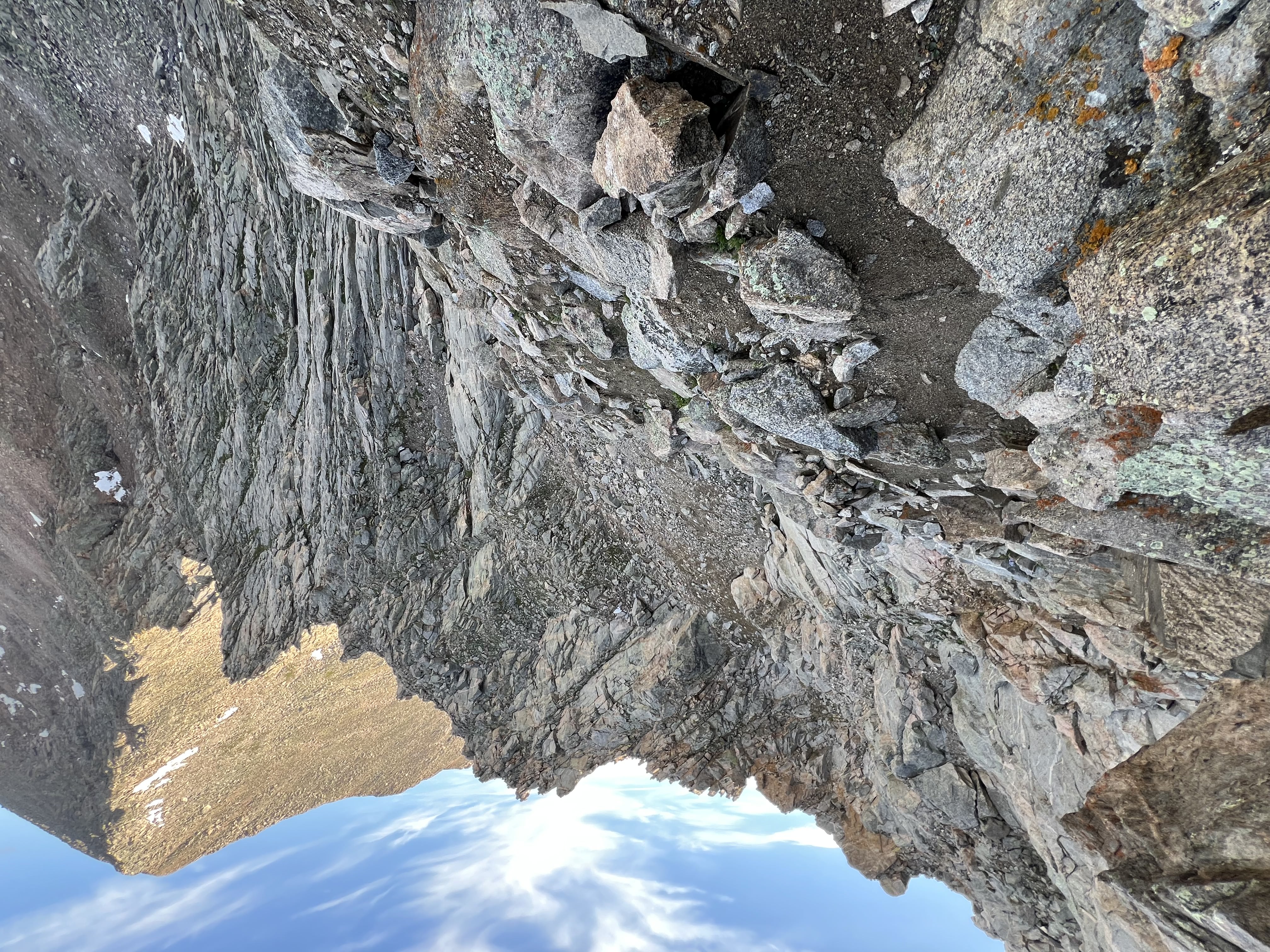 Looking down the shoot