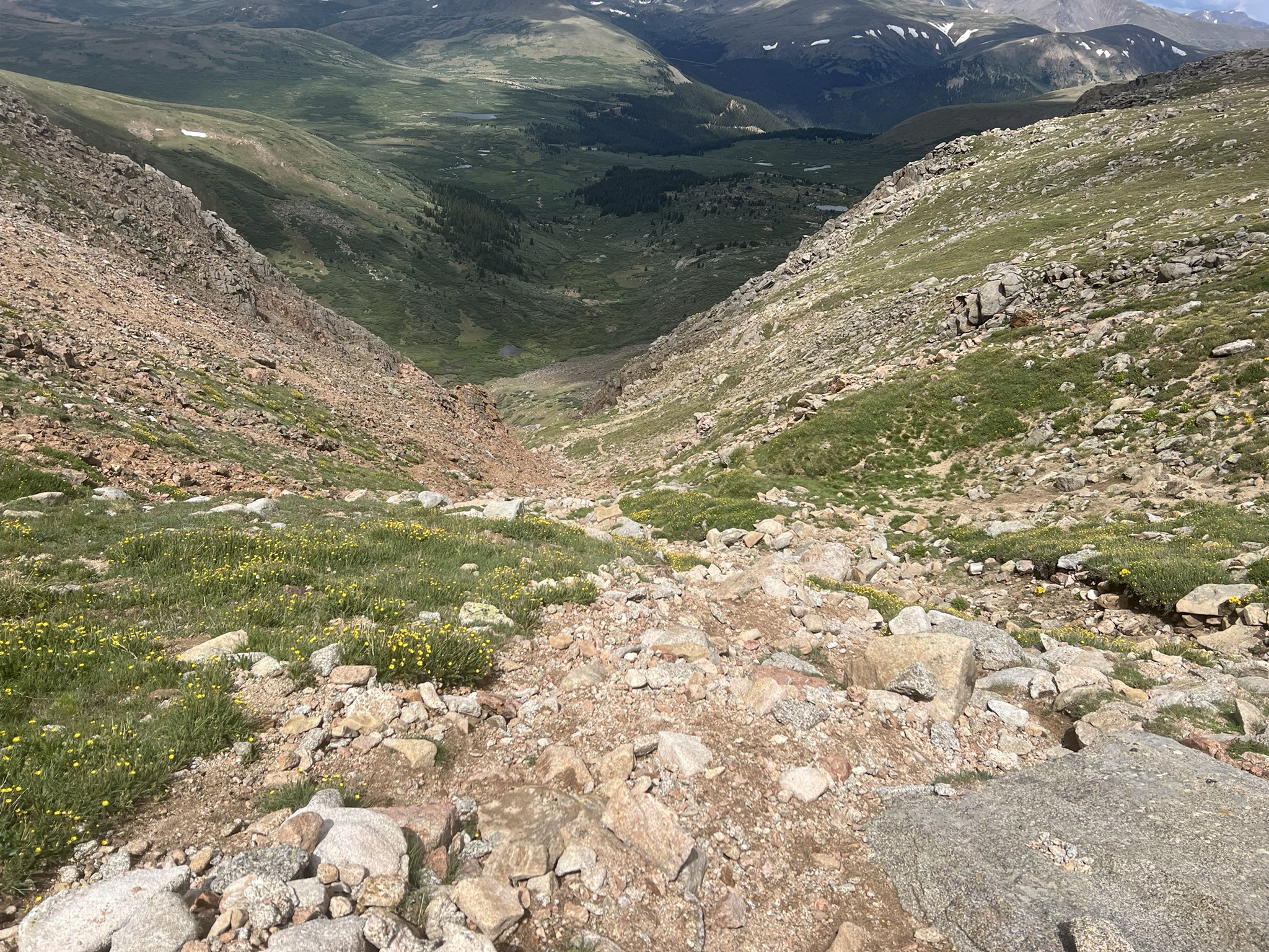 View of the gully